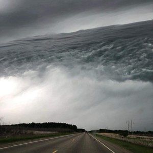 Meet your Posher, Kimberlie